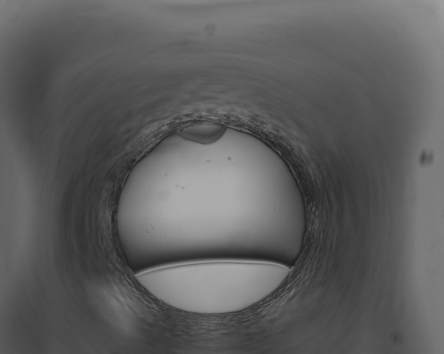 X0000094821489200711161015