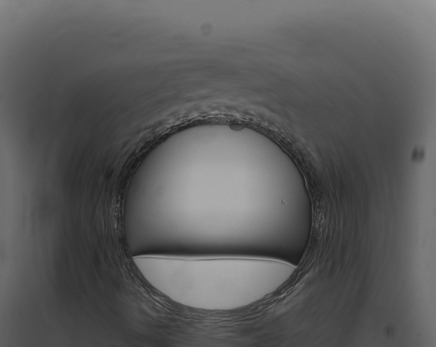 X0000094821490200711161015
