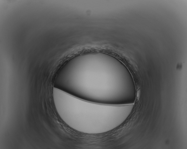 X0000094821492200711161015