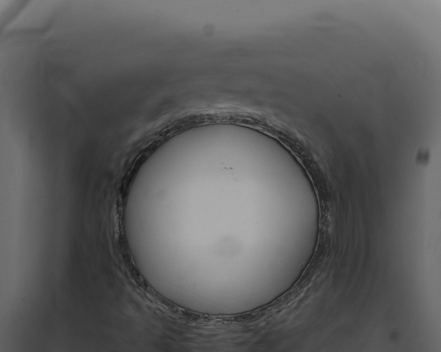 X0000094821493200711161015