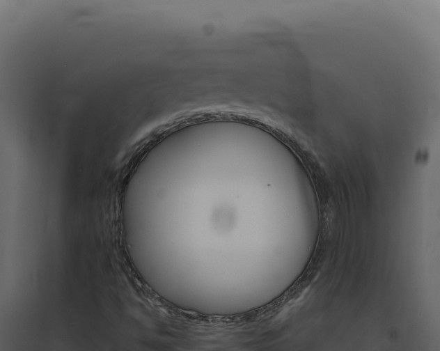 X0000094821494200711161015