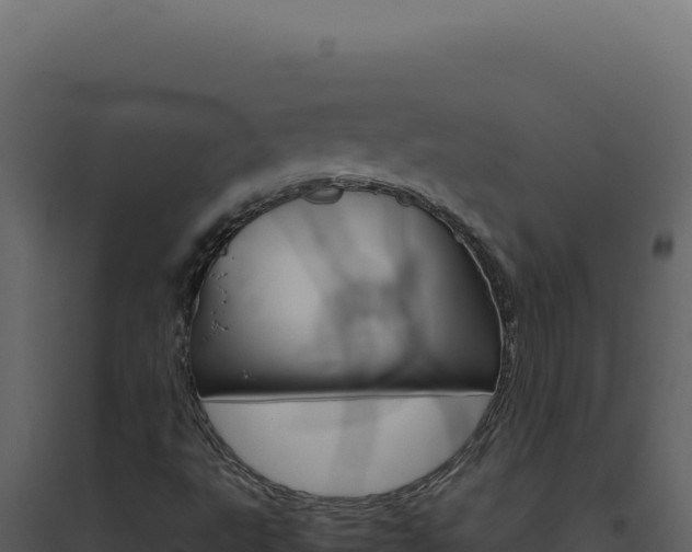 X0000094821495200711161015