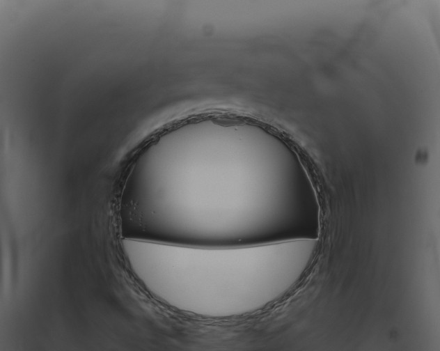 X0000094821496200711161015