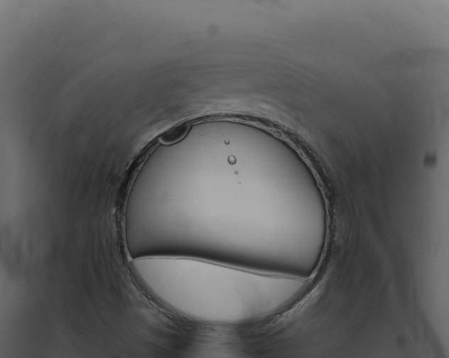 X0000094821497200711161015