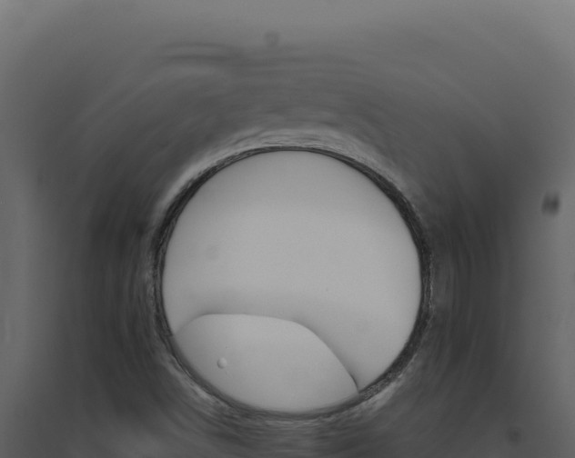 X0000094821498200711161015