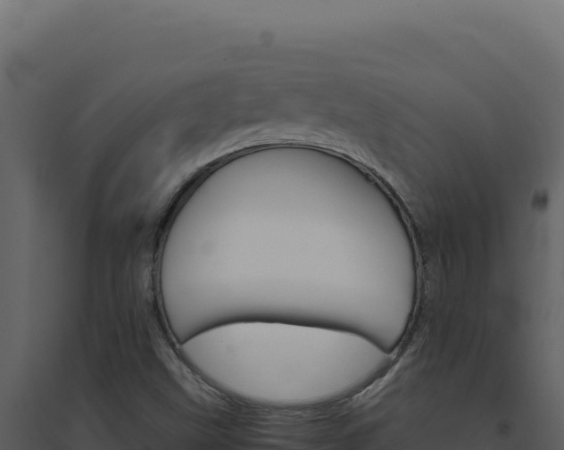 X0000094821499200711161015