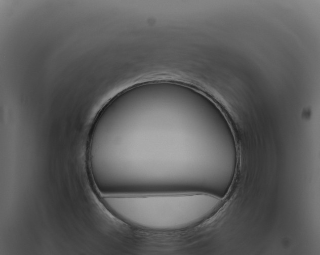 X0000094821500200711161015