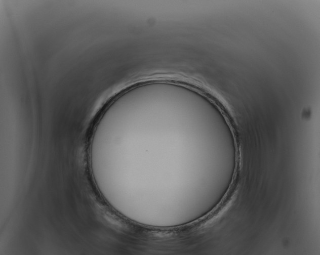 X0000094821501200711161015