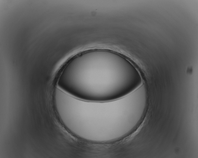 X0000094821502200711161015