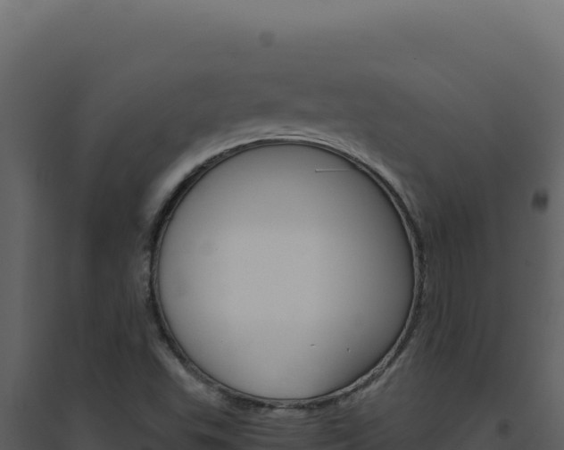 X0000094821503200711161015
