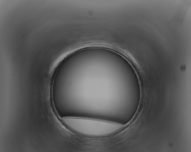 X0000094821504200711161015