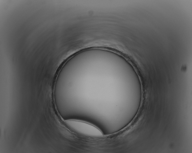 X0000094821505200711161015