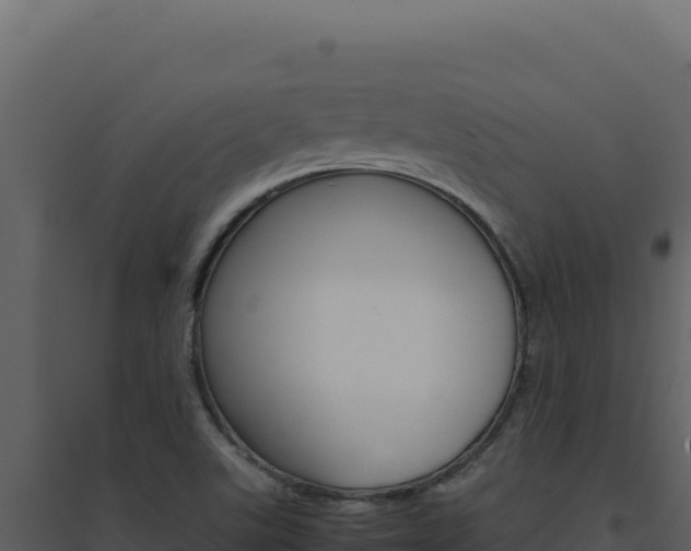 X0000094821507200711161015