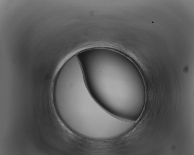 X0000094821508200711161015