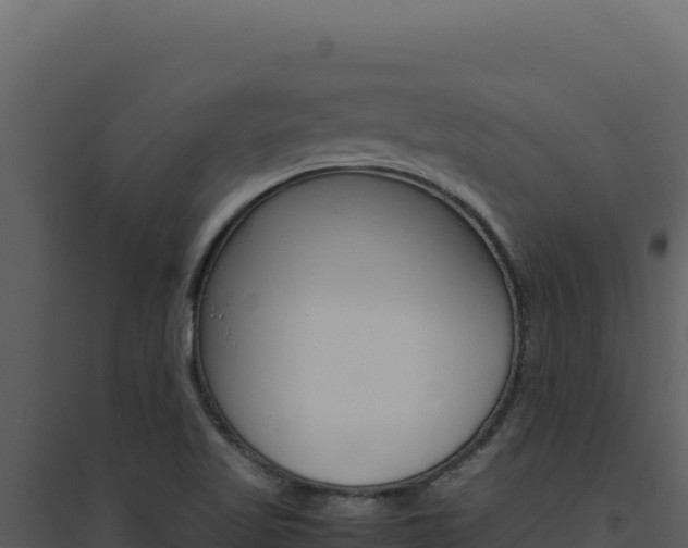 X0000094821509200711161015