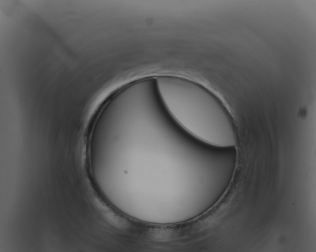 X0000094821511200711161015