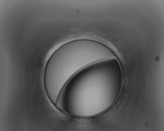 X0000094821512200711161015