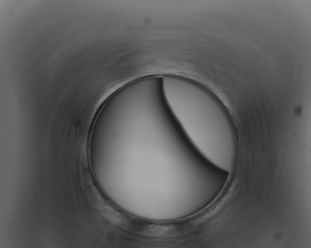 X0000094821513200711161015