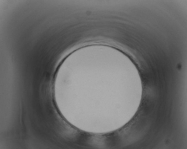 X0000094821514200711161015