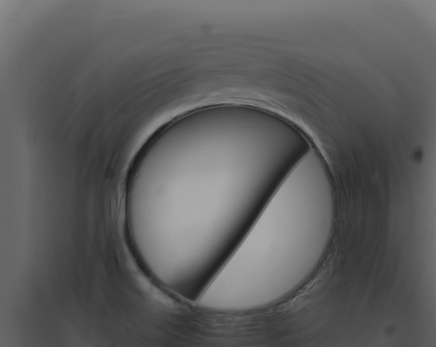 X0000094821515200711161015