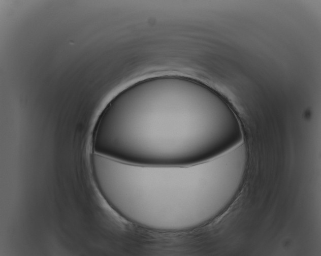 X0000094821516200711161015