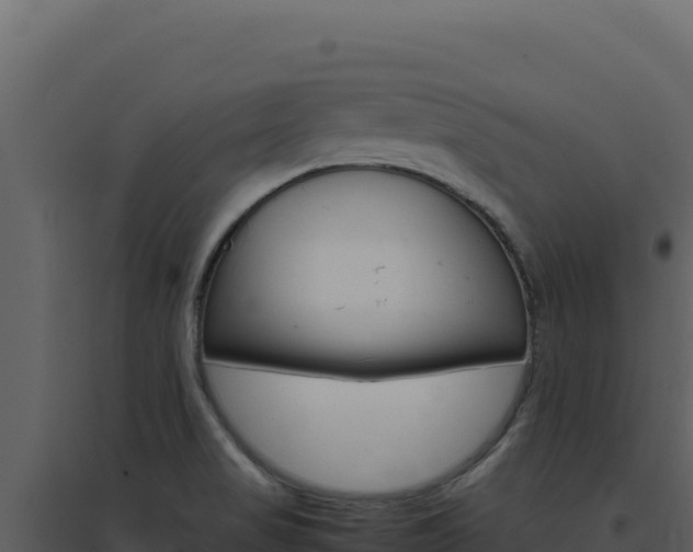 X0000094821517200711161016