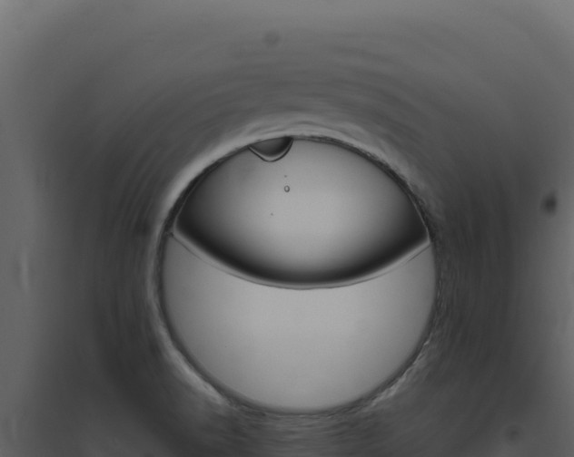 X0000094821518200711161016