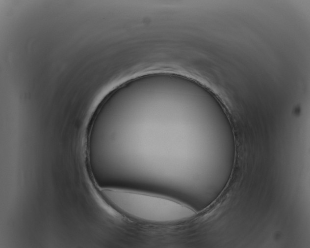 X0000094821519200711161016
