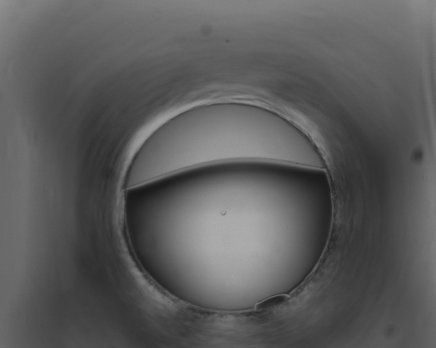 X0000094821520200711161016