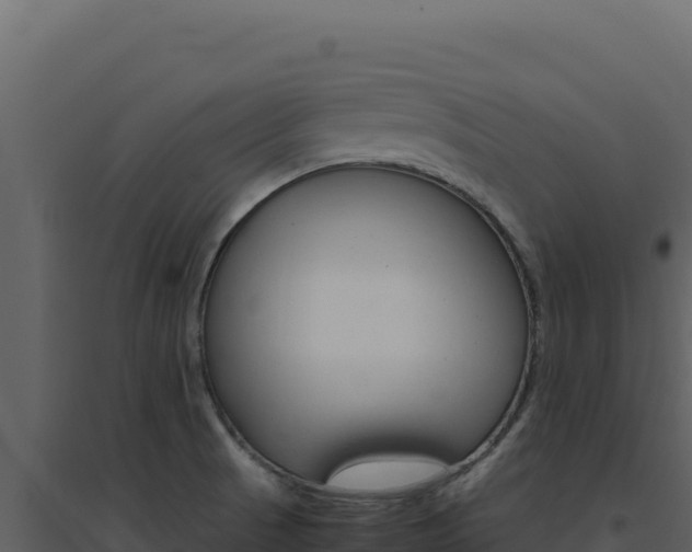 X0000094821521200711161016