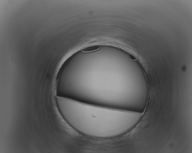 X0000094821522200711161016