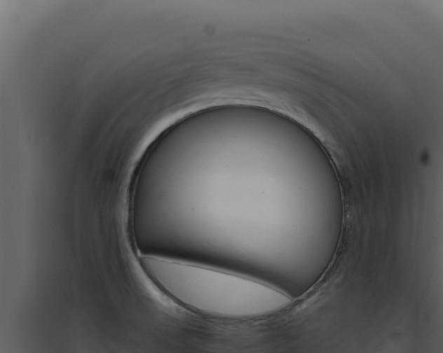 X0000094821523200711161016