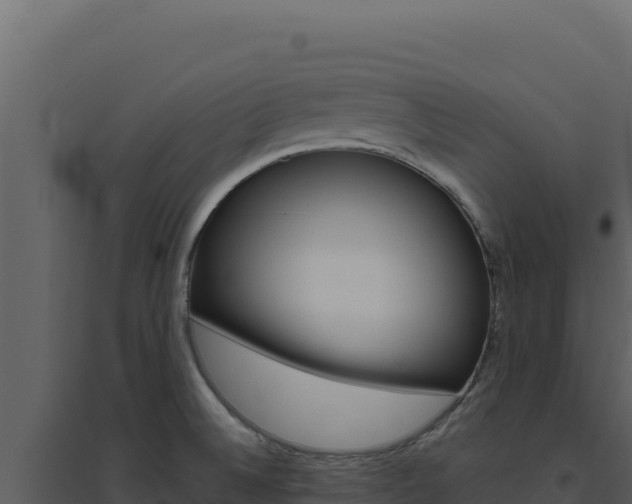 X0000094821524200711161016