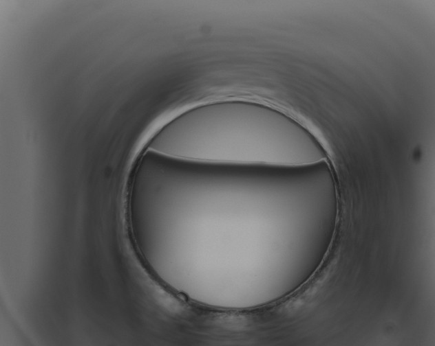 X0000094821525200711161016