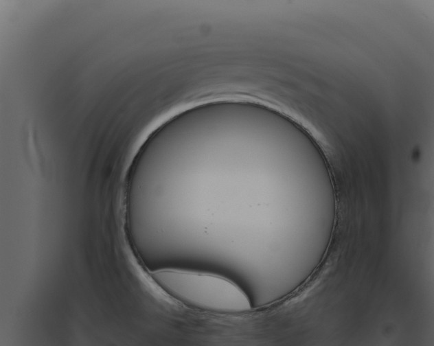 X0000094821526200711161016