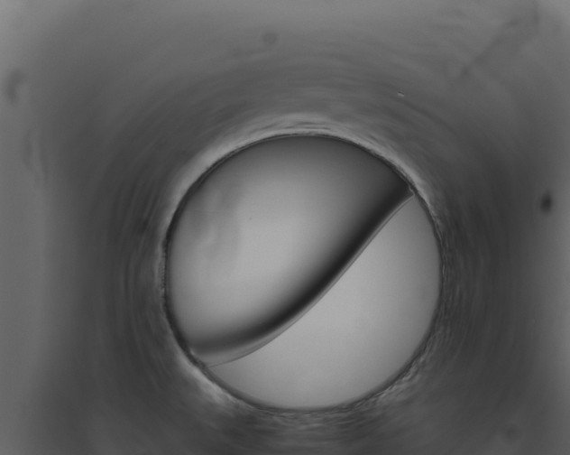 X0000094821527200711161016