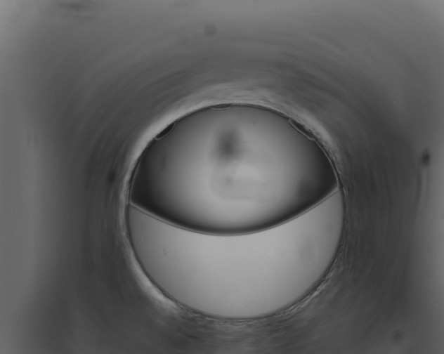 X0000094821528200711161016