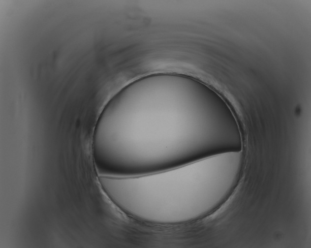 X0000094821529200711161016