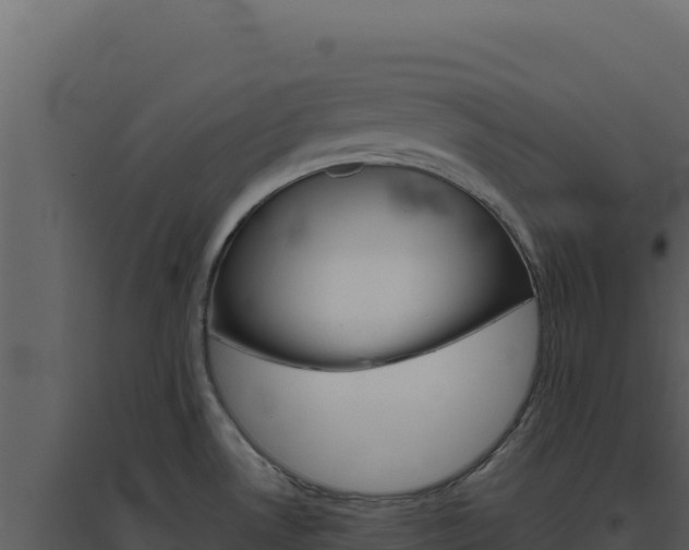 X0000094821530200711161016