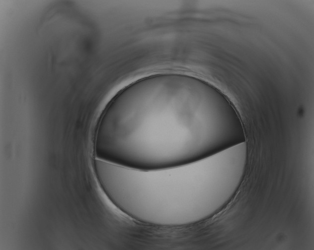 X0000094821531200711161016