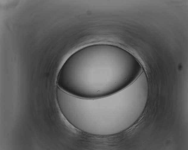 X0000094821532200711161016