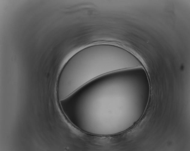 X0000094821533200711161016