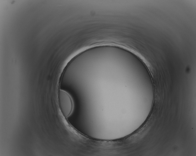 X0000094821534200711161016