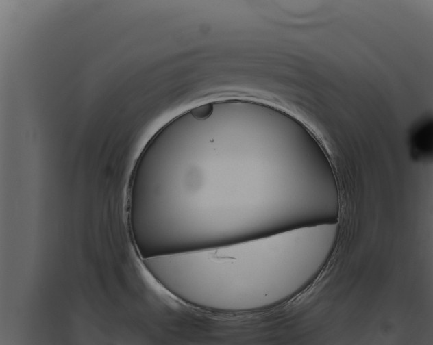 X0000094821535200711161016