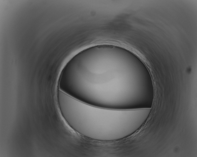 X0000094821536200711161016