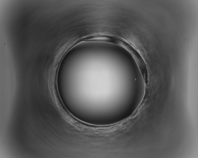 X0000094820001200711161537