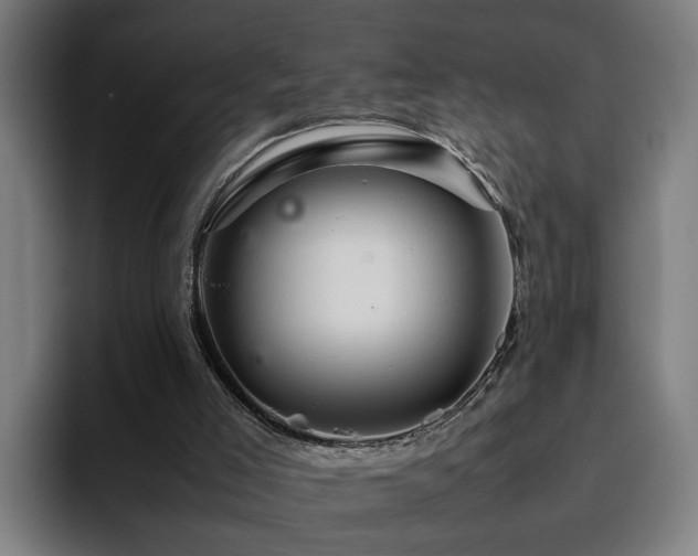 X0000094820005200711161537