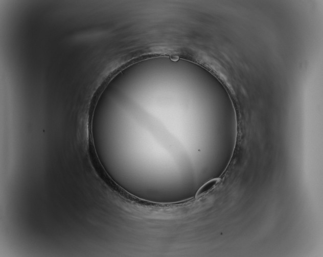 X0000094820011200711161537