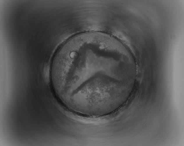 X0000094820012200711161537