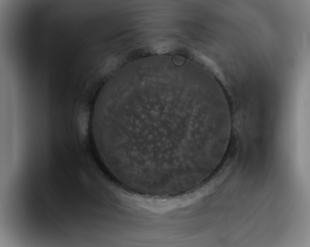 X0000094820018200711161537